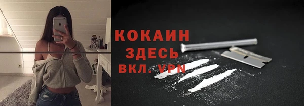 бошки Арсеньев