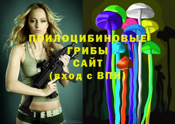 стаф Баксан